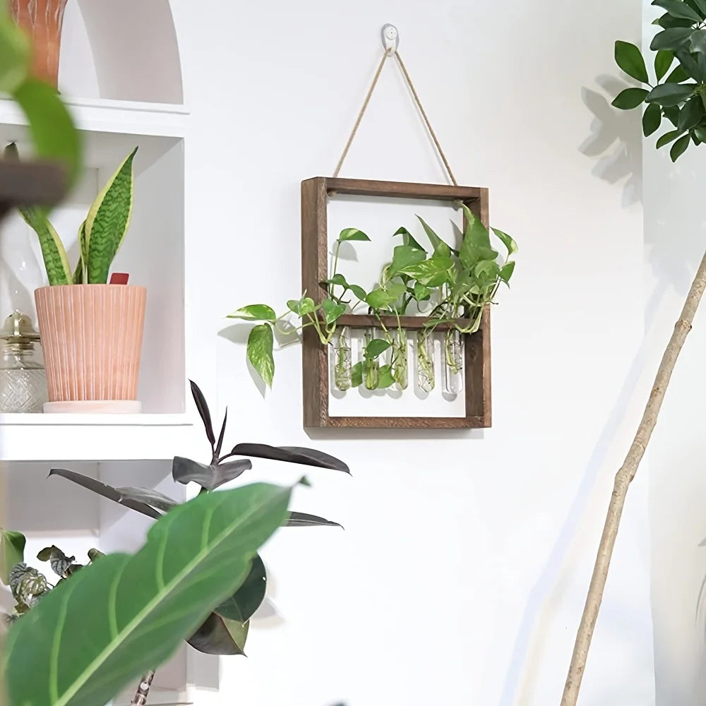 Cadre photo de propagation de plantes