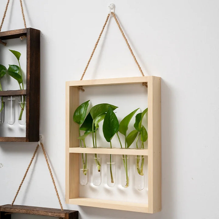 Cadre photo de propagation de plantes