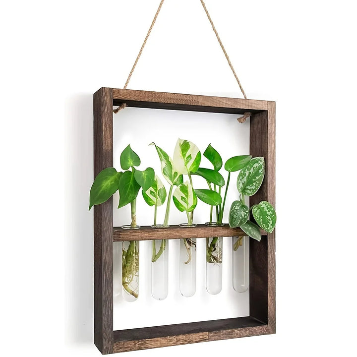 Cadre photo de propagation de plantes