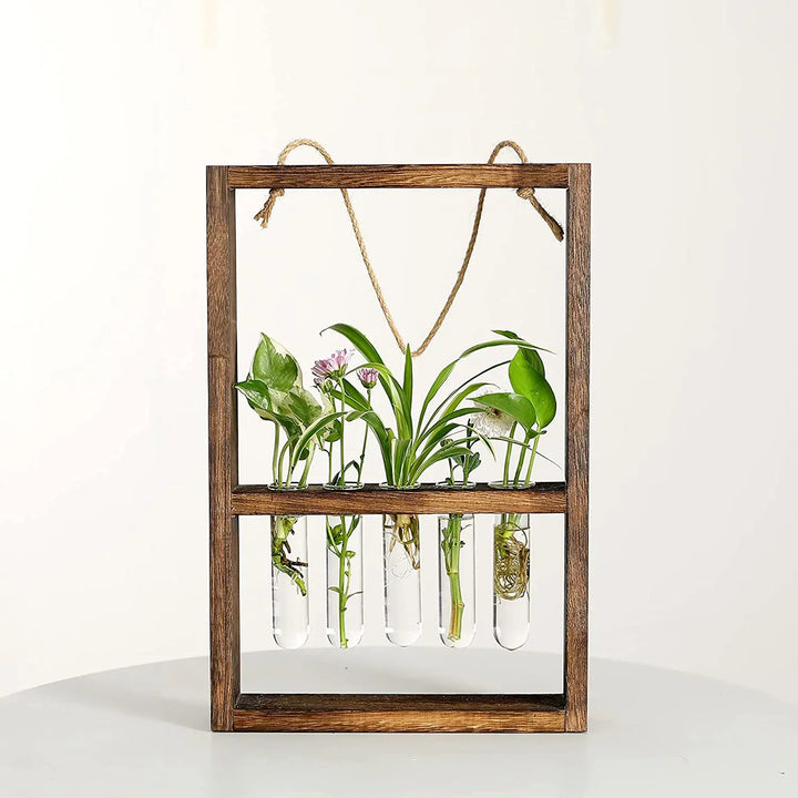 Cadre photo de propagation de plantes
