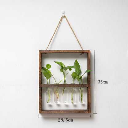 Cadre photo de propagation de plantes