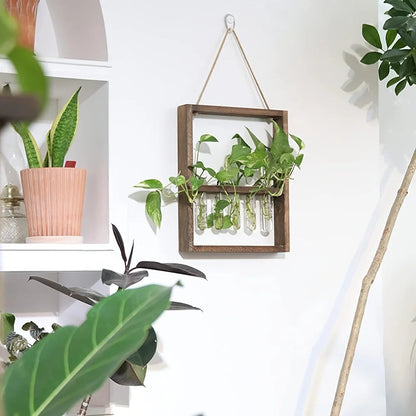 Cadre photo de propagation de plantes