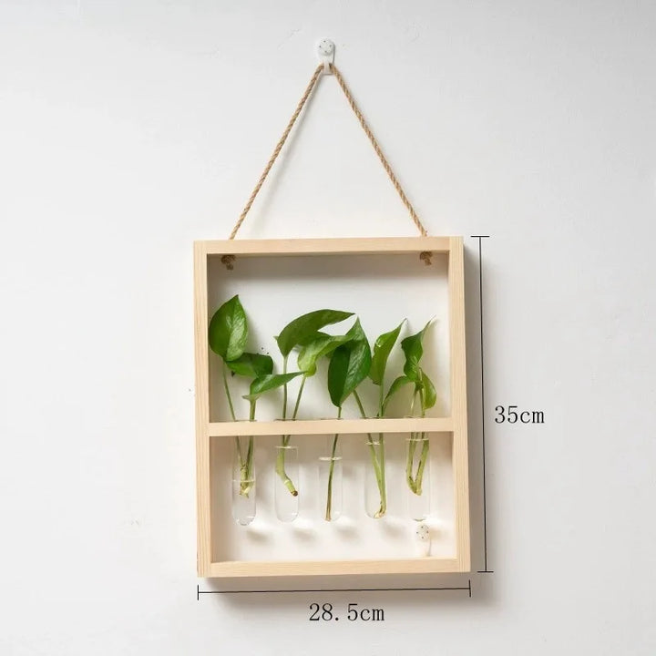 Cadre photo de propagation de plantes