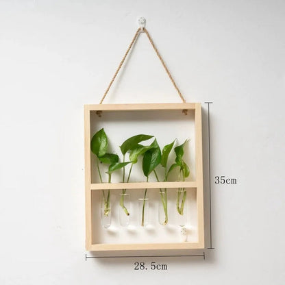 Cadre photo de propagation de plantes