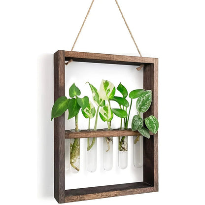 Cadre photo de propagation de plantes