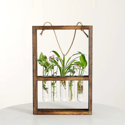 Cadre photo de propagation de plantes